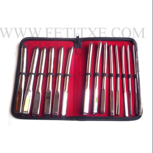 ROSEBUD SET DILATADOR URETRA 8188 ROSEBUD SET DILATADOR URETRA 8188
